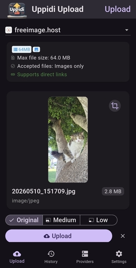 Upload screen (dark mode)