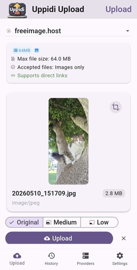 Upload screen (light mode)